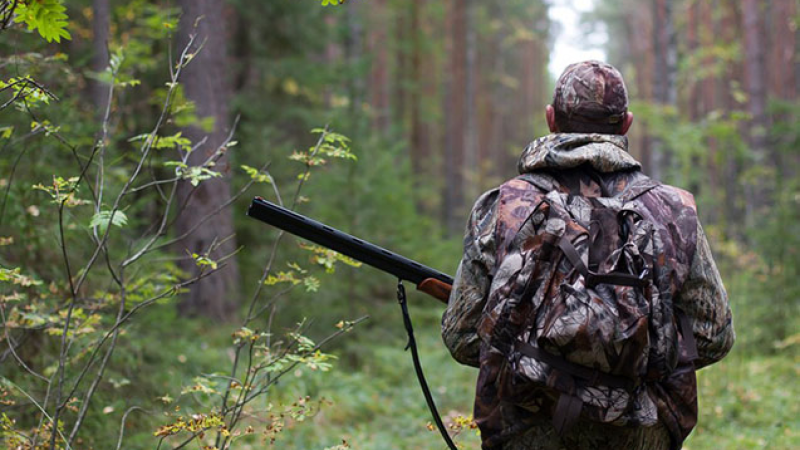 Xəzərdə suyun səviyyəsi endi - Ov mövsümü BAŞA ÇATDI