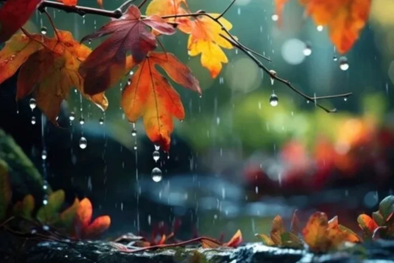 Sumqayıtda hava çiskinli olacaq