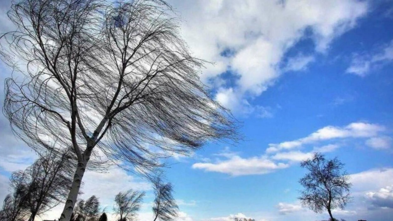 Sumqayıtda güclü külək əsəcək
