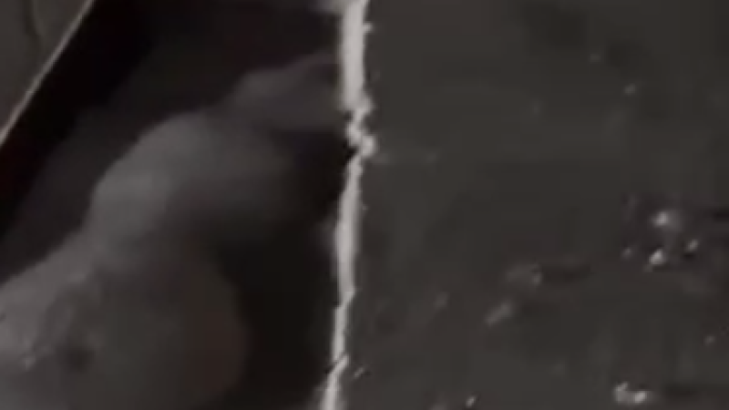 Sumqayıtda sürücüləri təngə gətirən tələ