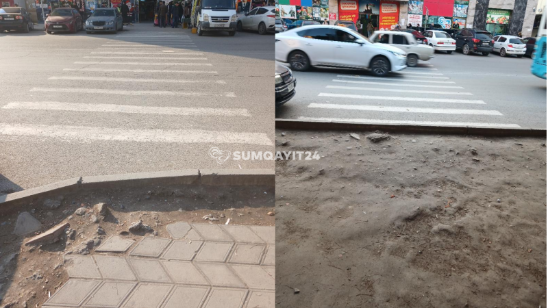 Bu zebradan keçmək cəsarət istəyir