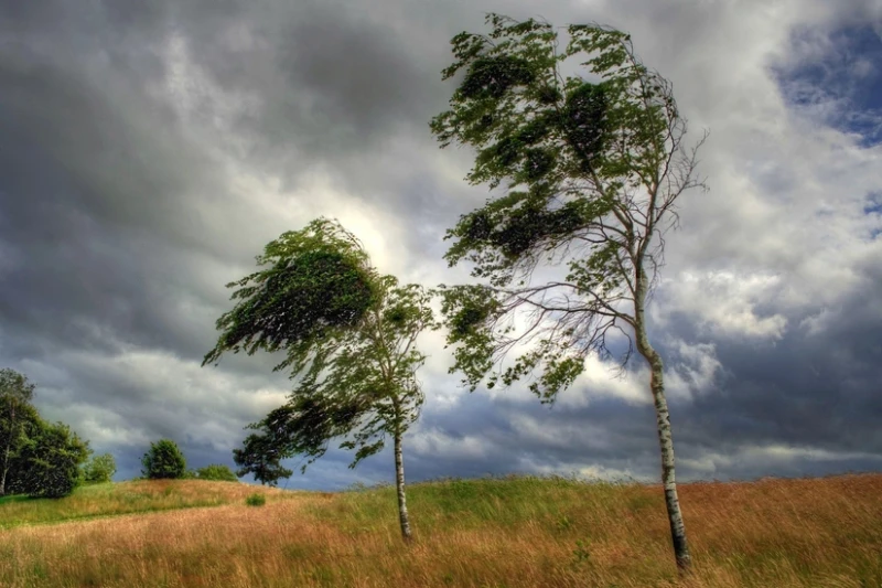 Sumqayıtda güclü külək əsəcək