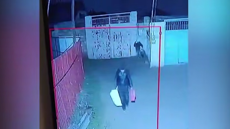 Sumqayıtda oğrular KAMERAYA DÜŞDÜLƏR