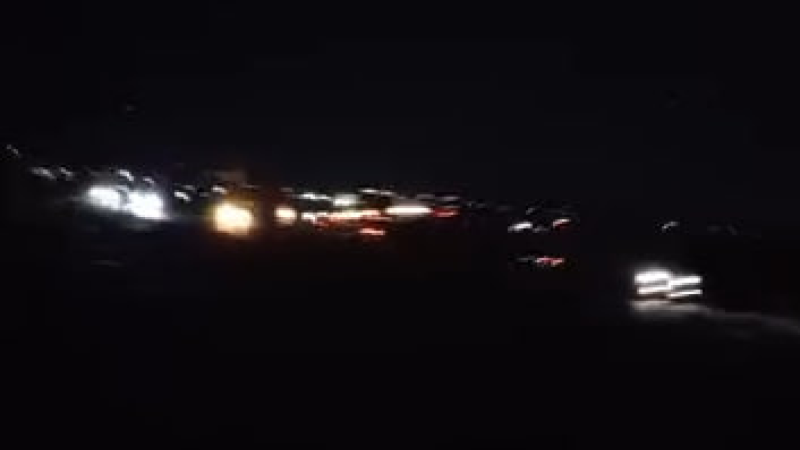 İnəyi vurdular, atdılar qırağa – ŞİKAYƏT