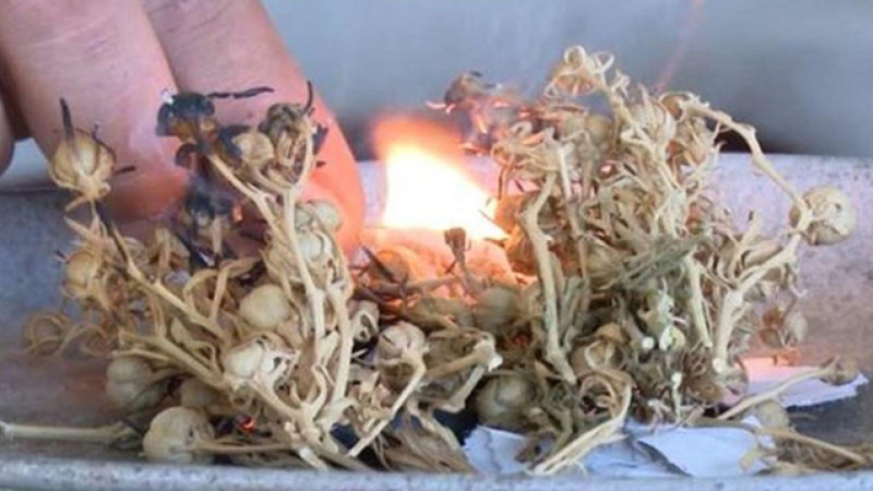 Səhiyyə Nazirliyi üzərliklə bağlı əhaliyə müraciət edib