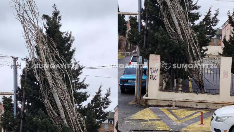 Sumqayıt məktəbində ağac naqillərin ümidinə qalıb