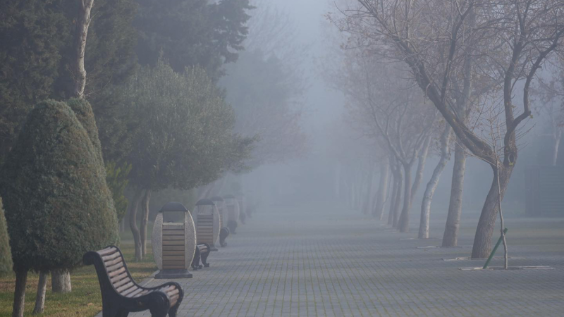 Sumqayıtda şənbə günü hava dumanlı olacaq