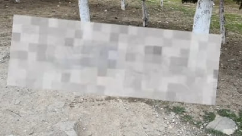 Sumqayıtda küçədə meyit tapıldı