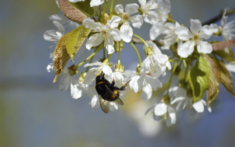 Sabah 17 dərəcə isti olacaq