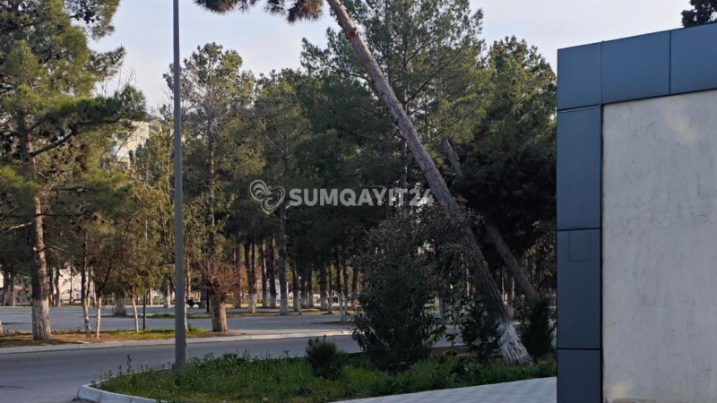 Sumqayıtda qurumlar hərəkətə keçmək üçün faciə gözləyir?