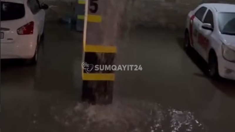 Saray MTK-nı SU BASIB