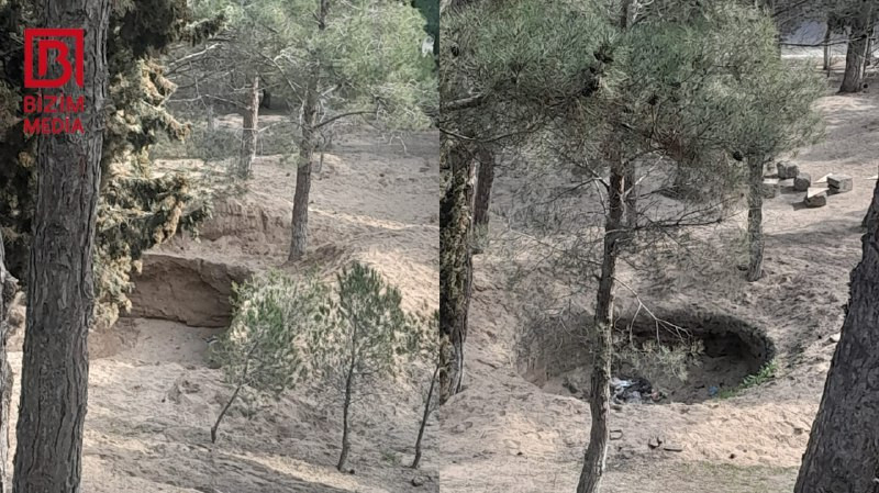 Nəsimi parkında yaşıllıq məhv edilir?