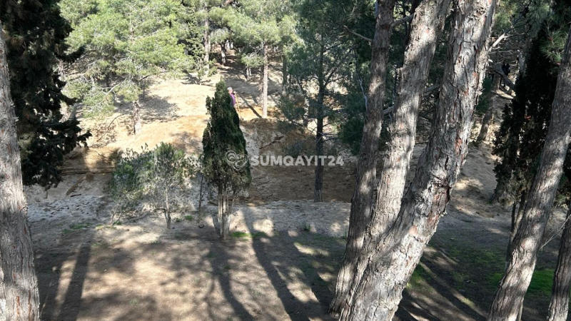 Sumqayıt ŞİH-dən sakinlərin iddiasına CAVAB