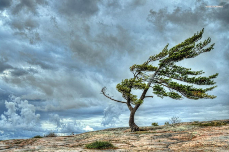 Sumqayıtda güclü külək əsəcək