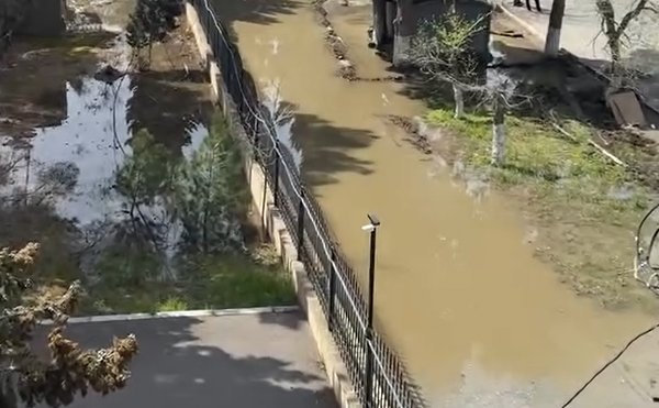 SDU-nun həyəti bataqlığa dönüb