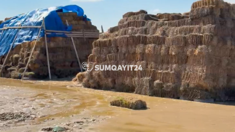 Sumqayıtda kanalın qarşısı kəsildi, təsərrüfatlara ziyan dəydi - İDDİA