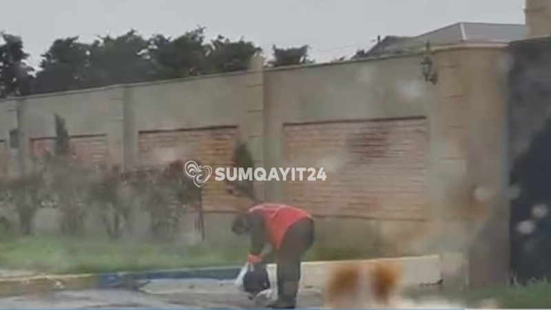 Yağış, külək... amma onlar yenə iş başında