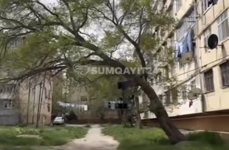 Sumqayıtda sakinləri qorxuya salan REAL TƏHLÜKƏ