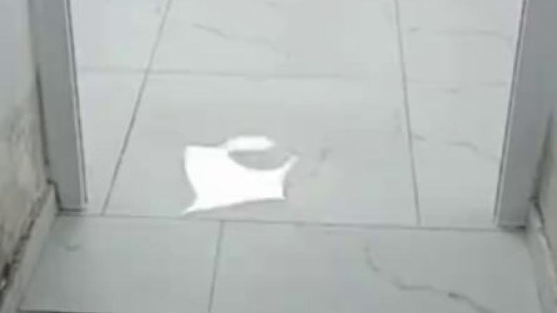 Sumqayıtda biabırçı mənzərə: xəstəxananı su basdı