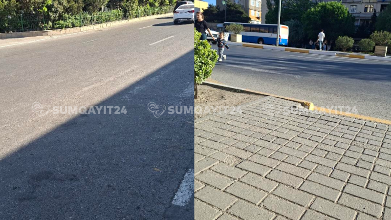 Sumqayıtda yenilənməyə ehtiyacı olan zebralar
