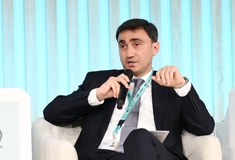 Nazir müavini: Sumqayıtda yaşıl sahələrin genişləndirilməsi mühümdür
