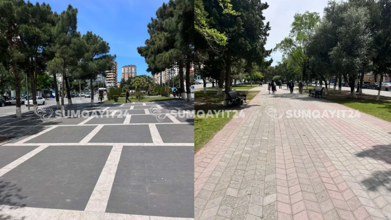 Sumqayıtda xiyabanda zibil qutuları yoxa çıxıb - Şikayət
