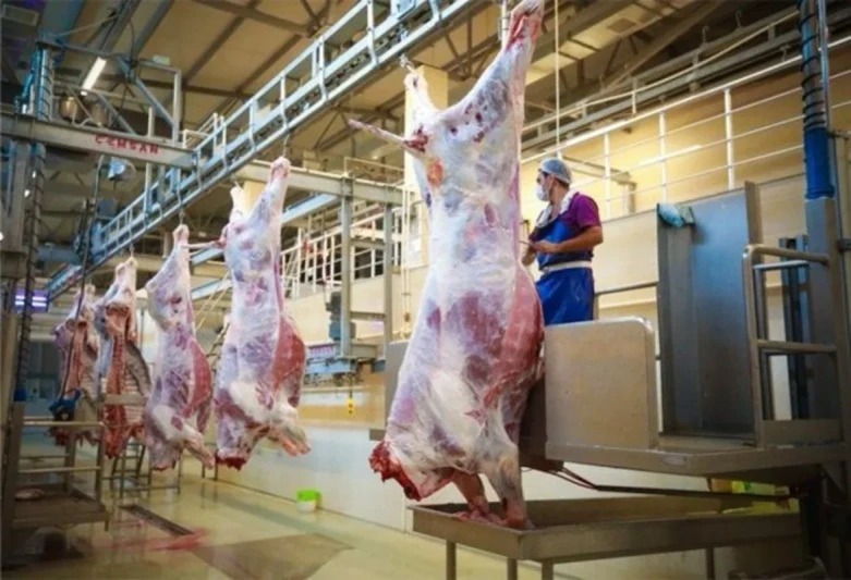 Qurbanlıq ət kəsildikdən neçə saat sonra yeyilməlidir?