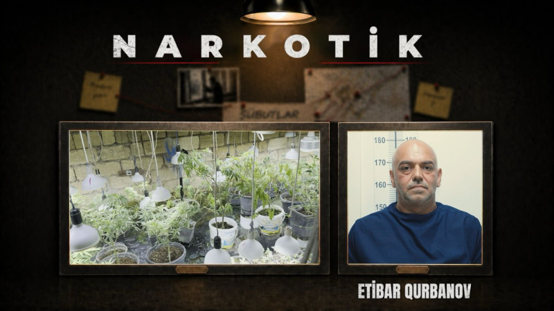 Novxanıda gizli narkobunker aşkarlanıb