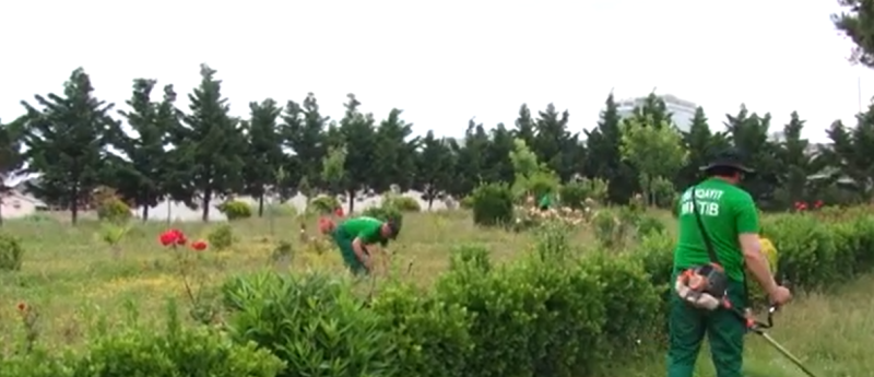 Sumqayıtda yaşıllaşdırma işləri aparılır