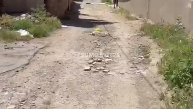 Yayda toz, qışda palçıq: Coratdan ŞİKAYƏT