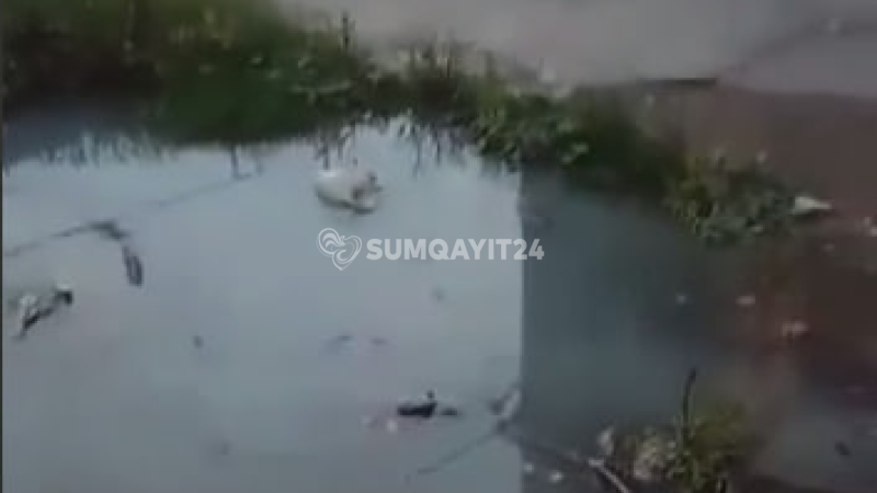 Sumqayıtda çirkab su problemi: Qurumdan açıqlama