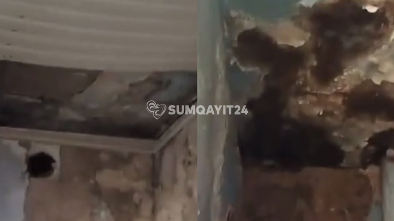 Sumqayıtda real təhlükəyə çevrilən yataqxana