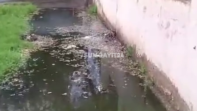Sumqayıtın işlək küçəsində narahatedici mənzərə