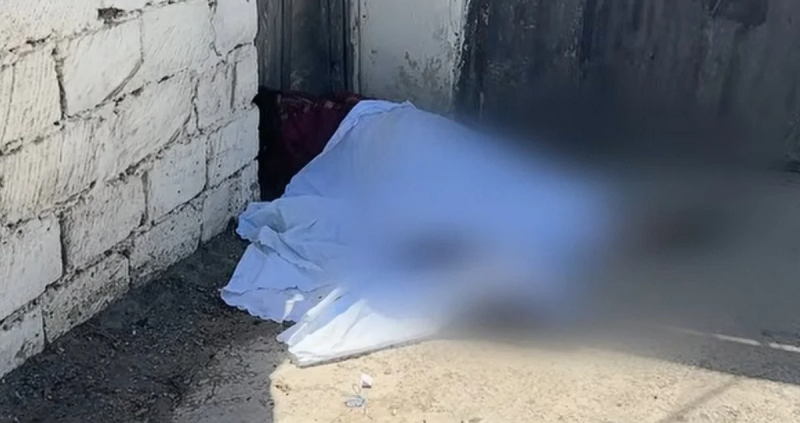 Sarayda qardaşı arvadını mülkə görə öldürdü - 17 il CƏZA aldı