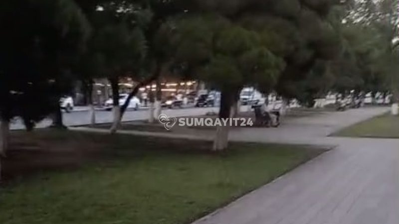 Sumqayıt sakini xiyabanda zibil qutusu axtarışında