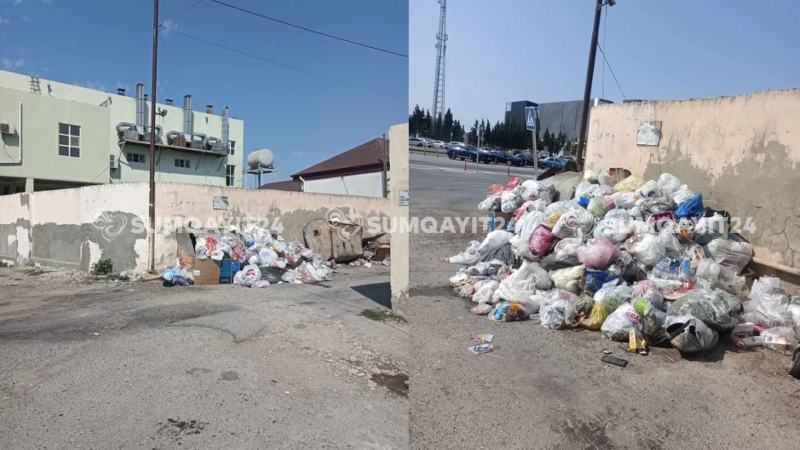 Sumqayıtın bu küçəsində zibillər 1 həftədən çoxdur daşınmır? - İDDİA