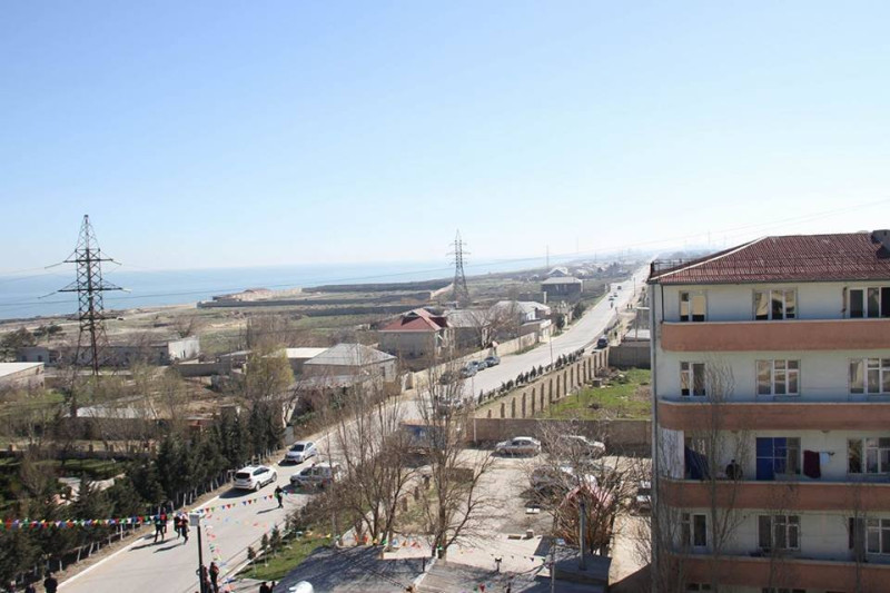 Qurbağalar, çəyirtkələr indi isə Sumqayıtı bu CANLILAR basdı