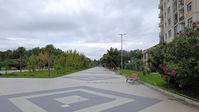 Sumqayıtda döyüş iti parkı bir-birinə qatdı – İDDİA