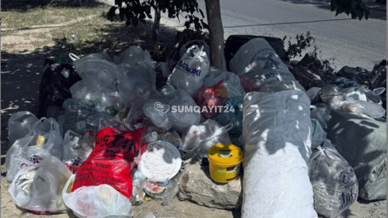 Ağac dibini zibil qabı kimi istifadə edən Sumqayıt sakinləri