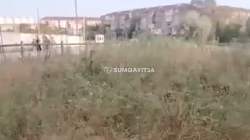 Sumqayıtın mərkəzində çölü xatırladan mənzərə