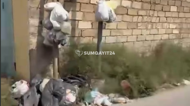Sumqayıtda dirəklər zibil qutusunu əvəz edir… - VİDEO