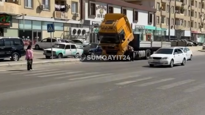 Sarayda zebra var, amma sürücülər piyadalara yol vermir