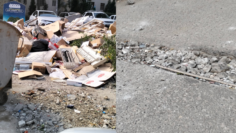 Zibil, çuxurlar, kəsilmiş ağaclar, siçanlar – 13-cü mikrorayondan ŞİKAYƏT