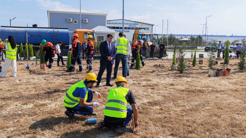Sumqayıt Sənaye Parkının ərazisində 300-dək ağac əkilib