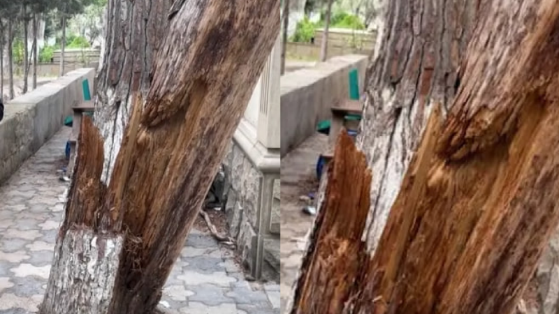 Ceyranbatanda məktəb qarşısında narahatedici vəziyyət