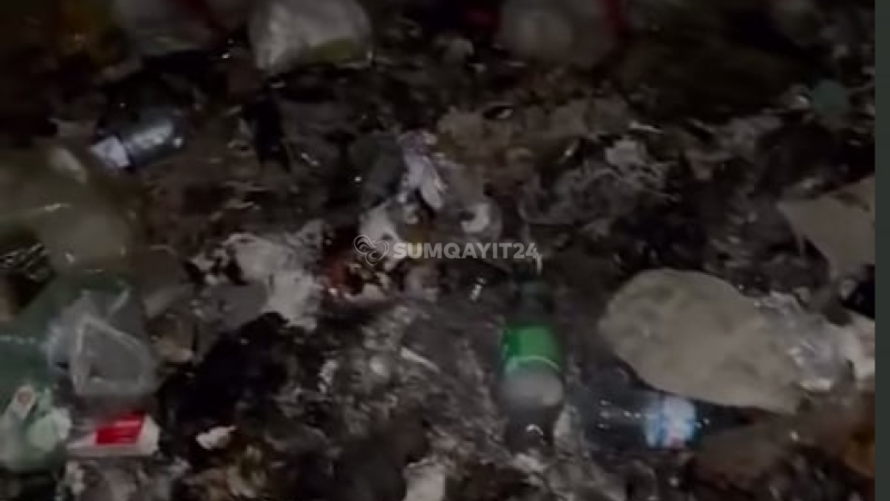 Elə bil burada insan yaşamır: Yaşıl Dərə zibil içində