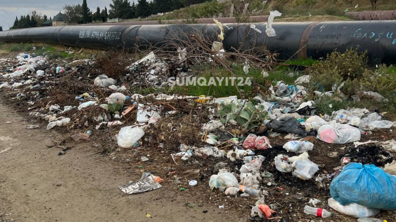 Sarayda qəbiristanlığın ətrafı zibil poliqonuna çevrilib