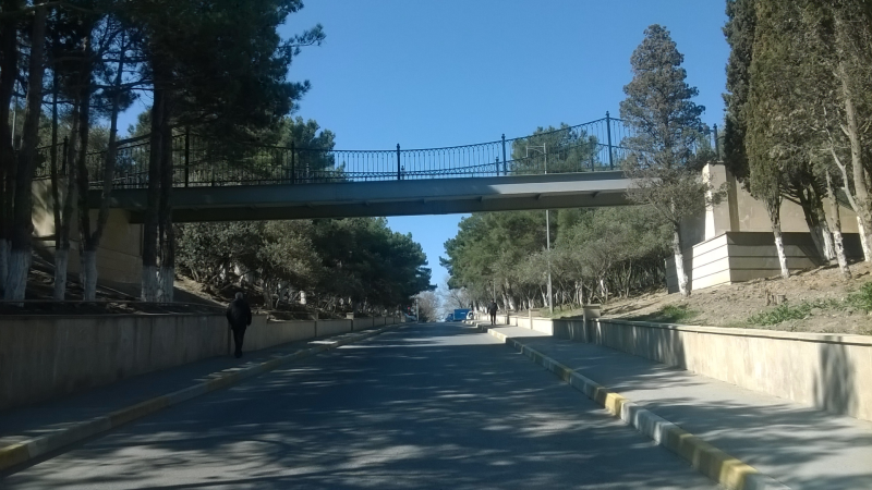 Nəsimi parkında it ovçuları peyda olub? - FOTO