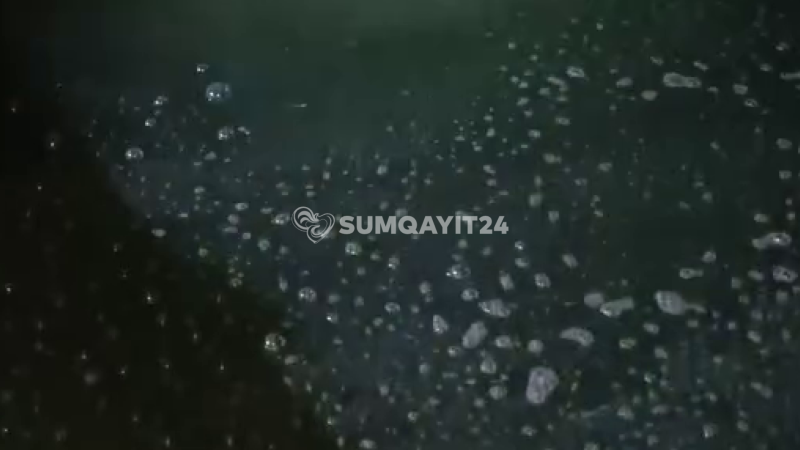 Sumqayıtda binanın zirzəmisini kanalizasiya suları basıb