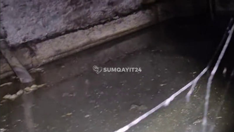 Pis qoxu, həşəratlar, çirkab sulara qərq olmuş zirzəmi
